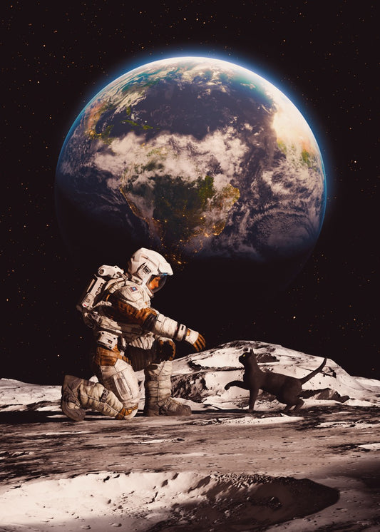 First Contact: Lunar Feline