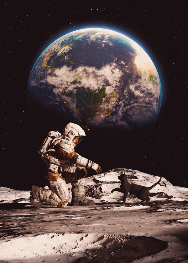 First Contact: Lunar Feline