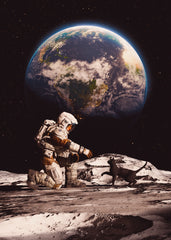 First Contact: Lunar Feline