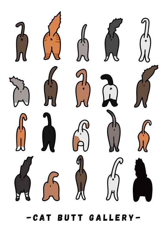 Cat butt gallery , white background
