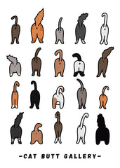 Cat butt gallery , white background