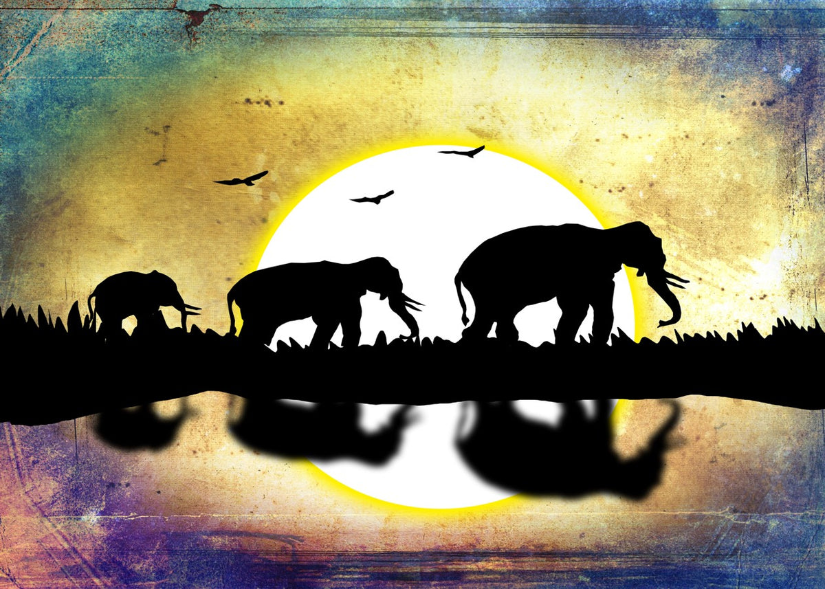 Family of 3 elephants