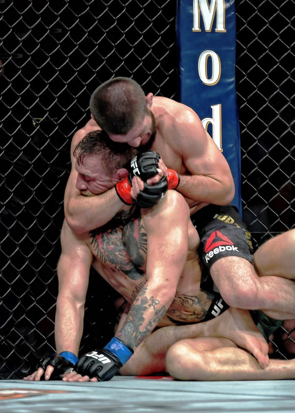 ufc fight leged