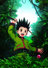 Gon Freecss, Hunter x Hunter
