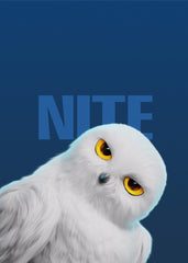 Cute White Owl