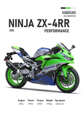 Kawasaki Ninja ZX4RR Perfomanc