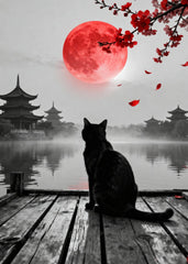 Cat and Moon