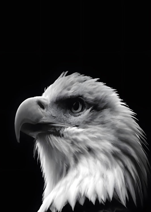 Fierce eagle