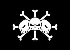 Blackbeard Pirates Flag, One Piece