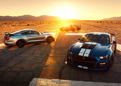 2020 Ford Mustang Shelby GT500