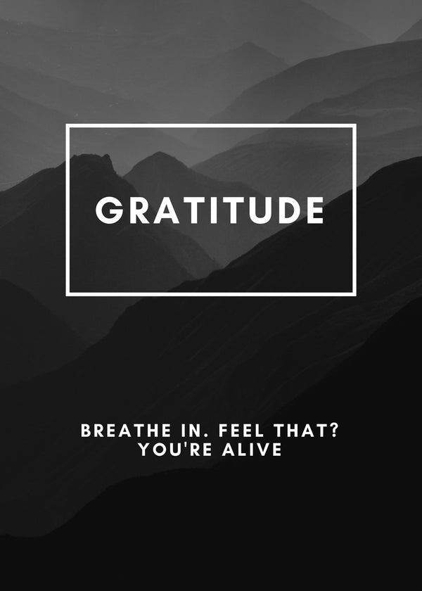 Embrace Gratitude