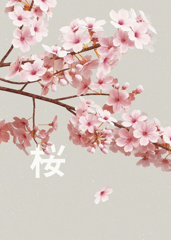 Serene Sakura