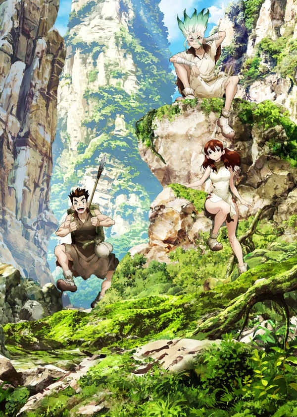 Dr. Stone