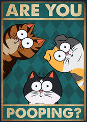 Fat cats are you pooping