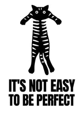 Its Not Easy To Be Perfect Cat