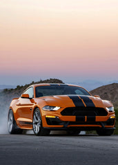 Ford Mustang Shelby GTS