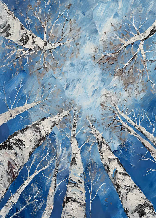 Winter Birch Canopy View