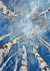 Winter Birch Canopy View