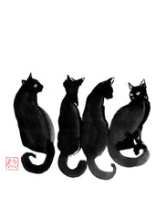 4 black cats