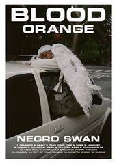 Blood Orange - Negro Swan