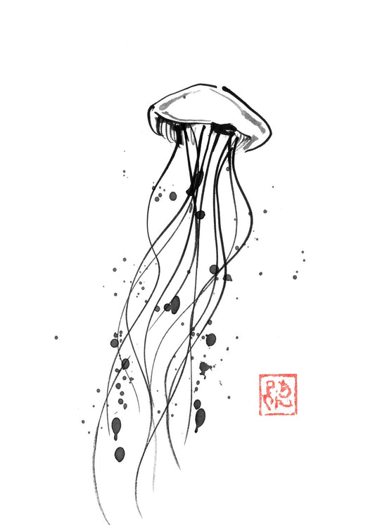 Jellyfish