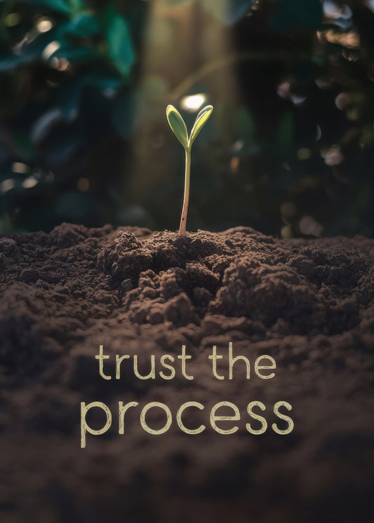 Trust The Prosess