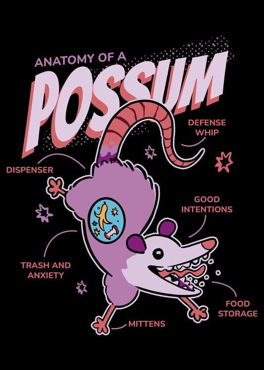 Possum Trash Anatomy
