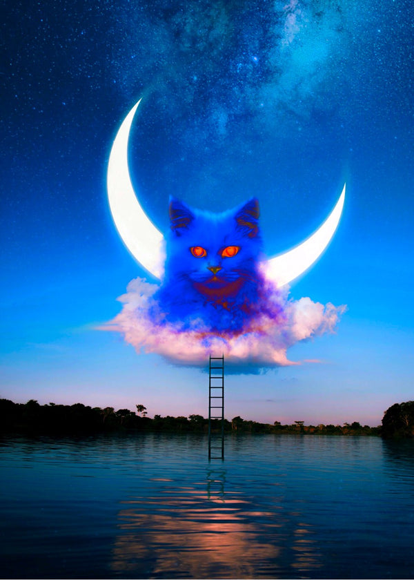 Cat Moon
