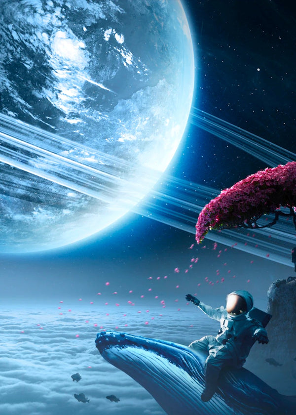 Whale Space