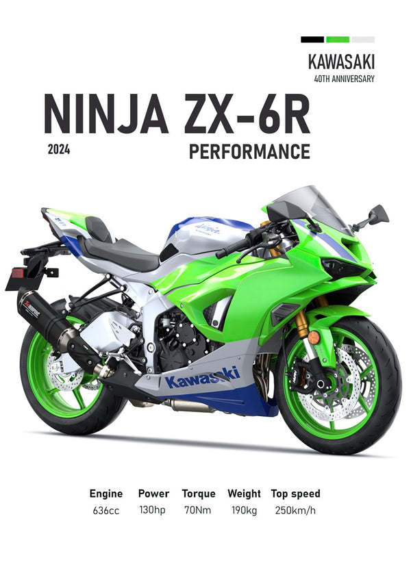 Kawasaki Ninja ZX-6R Perfomanc