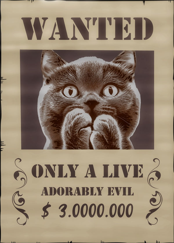 Wanted poster: Evil cat