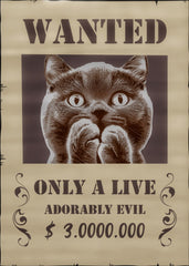 Wanted poster: Evil cat