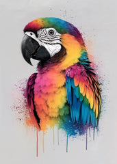 Colorful Parrot Abstract 