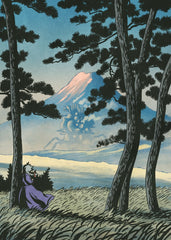 Fuji and castle