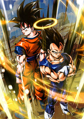 Goku And Vegeta 