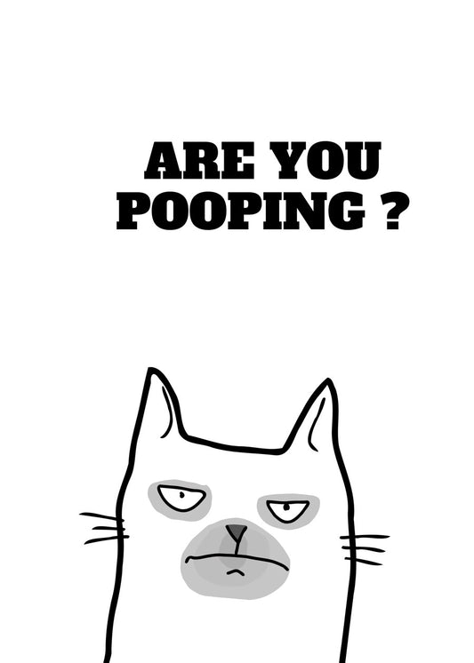White Cat Are you pooping