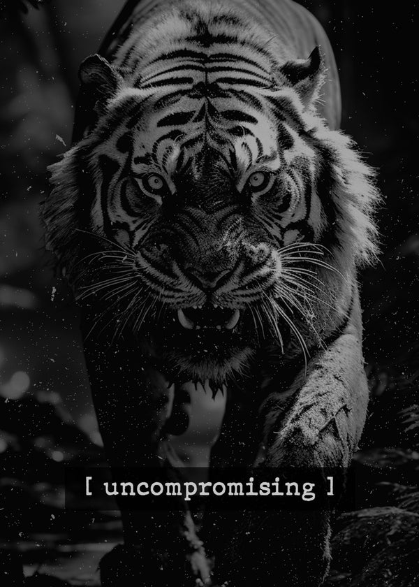 Uncompromising tiger