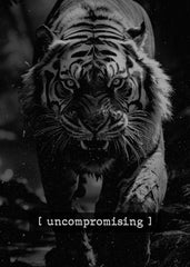 Uncompromising tiger